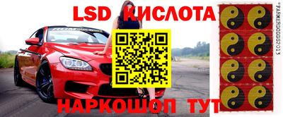 индика Бузулук