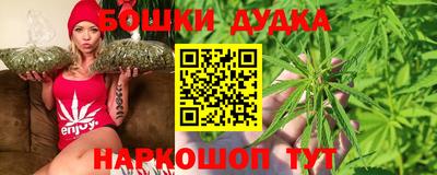 тгк Будённовск