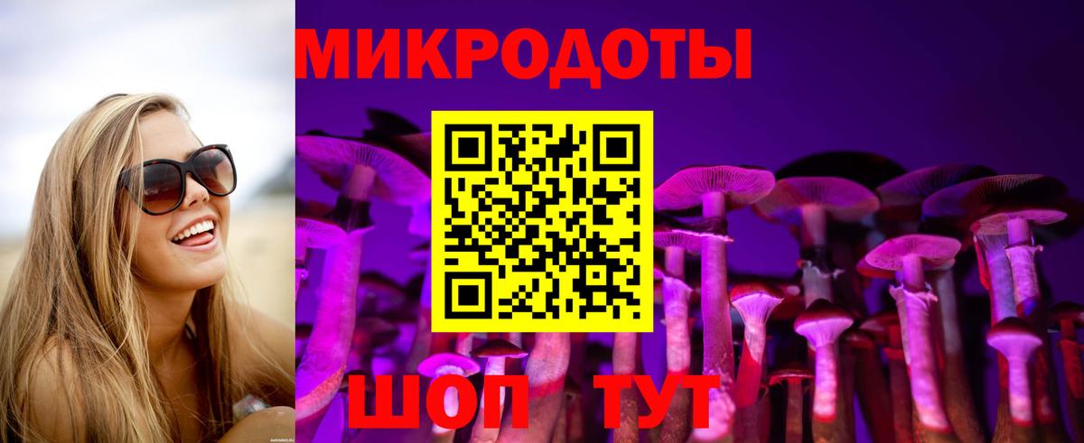 Галлюциногенные грибы GOLDEN TEACHER  Вход с VPN  Тавда 